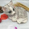Cat Silicone Mold Ice Cream Ice Cream Silicone Mold Mousse Cake Silicone Mold Animal Simulation Mold