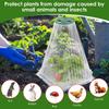 20 Pack Adjustable Garden Cloche with Rotatable Vent for Seedling Vegetable Plastic Plants Cover with Ground Stake Plants