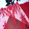 3m X 30cm Red Chantilly Lace, Inelastic Nylon Eyelash Lace Fabric  for Sewing, Bra, Underwear, Lingerie, Dress, Garment, Crafting