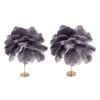 Feather Table Lamp 3 Color Dimmable Touch Switch USB Plug In Romantic Modern Decorative Bedside