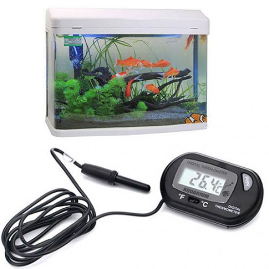 digital fish tank