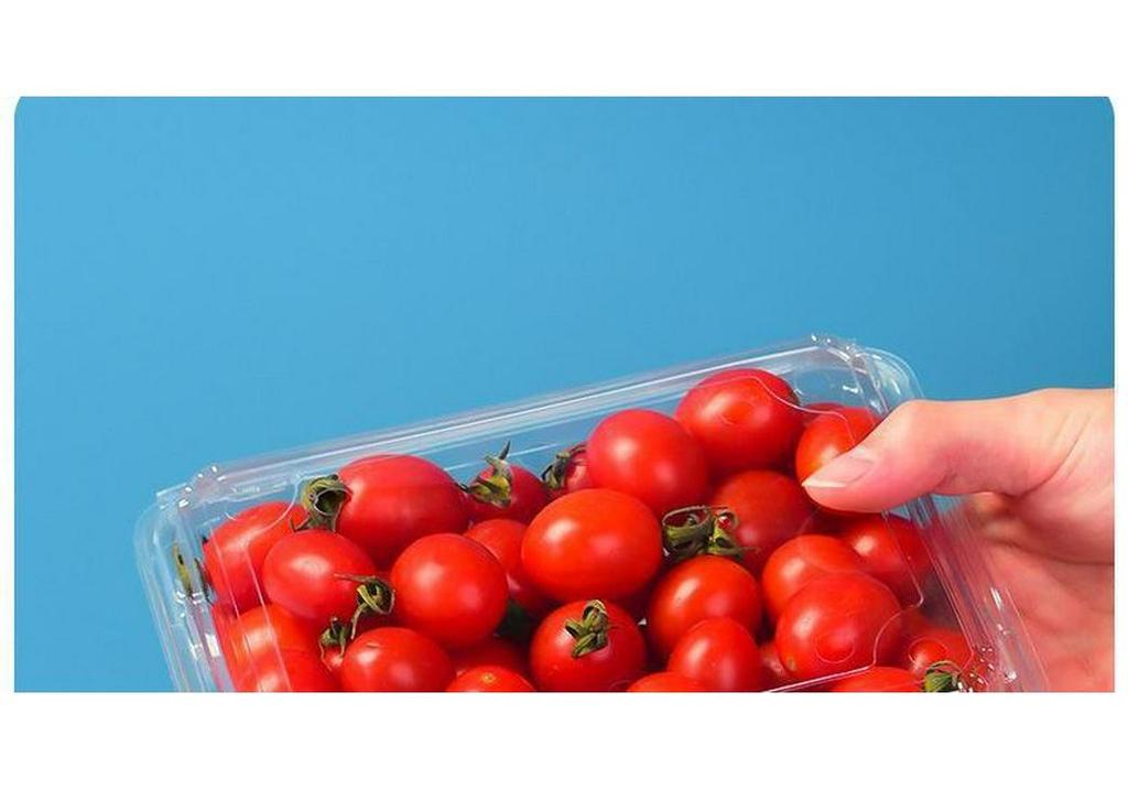 Clear Plastic Disposable Fruit Box with Lid for Strawberries