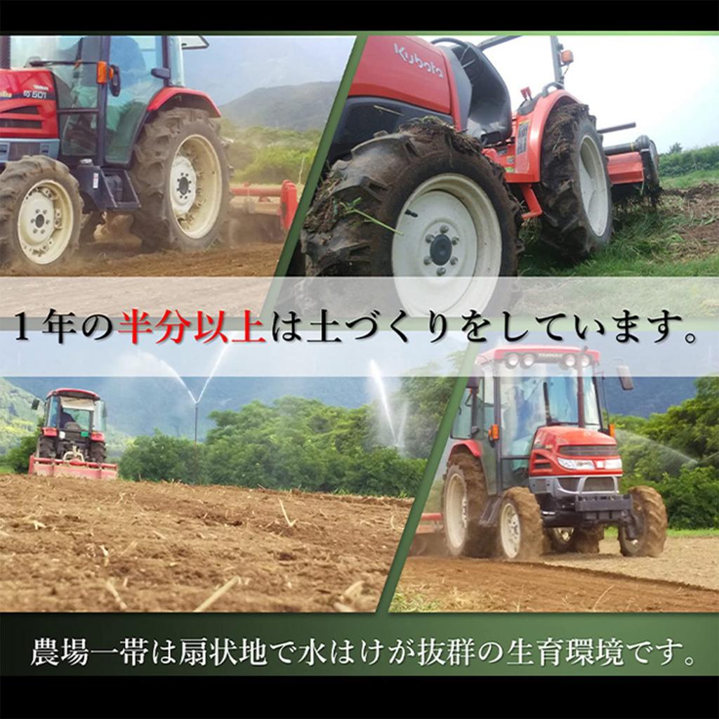 Far red green juice V1 tablets (1250 refill)