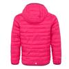 Regatta Childrens/Kids Hillpack III Hooded Jacket