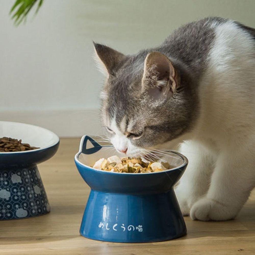 Tilted Elevated Anti Vomiting Pet Feeder Bowl Pet Supplies Cat Food Bowl Water Feeder Container
