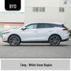 BYD Qin Car Touch-Up Paint Pen - Vehicle-Specific, Waterproof, Anti-Abrasion, Seal, Seagull, Destroyer, Frigate-Compatible.
