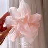 Organza Hair Tie for Women - Korean Style Rubber Band with Leather Case