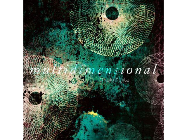 

[CD] multidimensional Nomal Edition Chiaki Fujita POCE-12206 Music Card Included