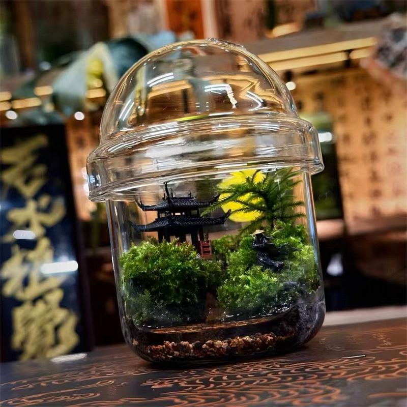 Micro Landscape Moss Glass Bottles Small Glass Ecological Bottle Green Plant Glass Terrarium Fun Plant Container Desktop Decor