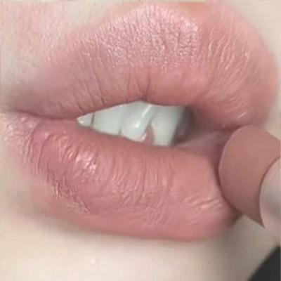 Waterproof and Easy To Matte Velvet Almond Nude Coffee Lipstick Lasting Do Not Stick To The Cup Lipstick Makeup Cosmetics