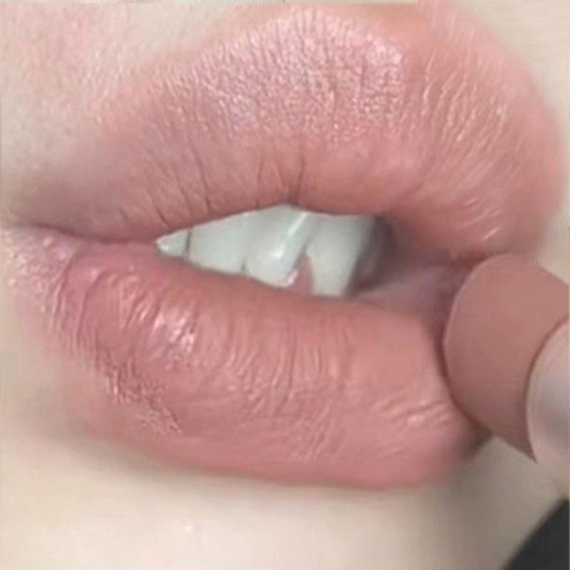 8- MATTE LIPSTICK WATERPROOF LONG-LASTING Easy To VELVET MATTE BLOOD RED ROSE LIPSTICK High Pigment Lips Cosmetics