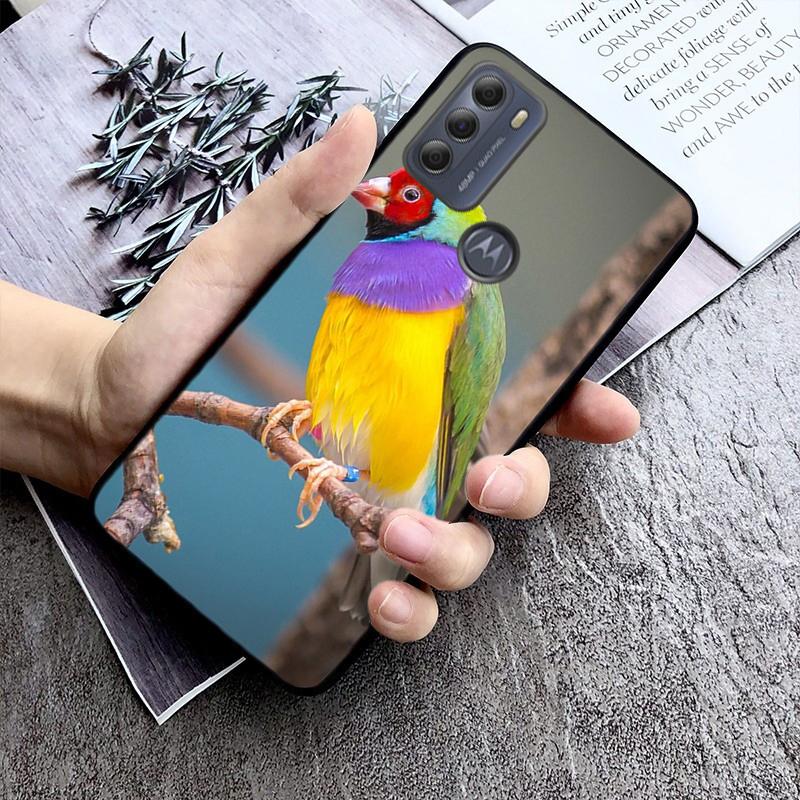 Parrot Bird Phone Case For Motorola Edge 50 40 Pro 50 40 30 Ultra Neo Fusion Moto G84 G54 G24 G53 G72 G60