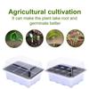 Indoor Propagation Box   Greenhouse Propagation Set Tray With Lid 1/2/5PCS