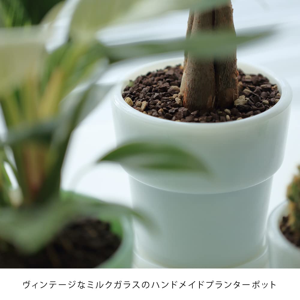 ideaco Glass Flower Pot 4 Diameter 14cm White Milk Glass Planter Pot 4 No.