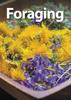 كتاب Foraging Playing Cards