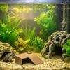 Basking Cave Platform Two-Way Use Ceramic Turtle Ramp Turtle Hideout Bridge Easy to Climb Amphibian Cave Hide Sturdy Base