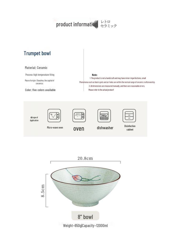 Japanese Ceramic Noodle Bowl - Large Conical Hat Design for Ramen and Soup (2025)