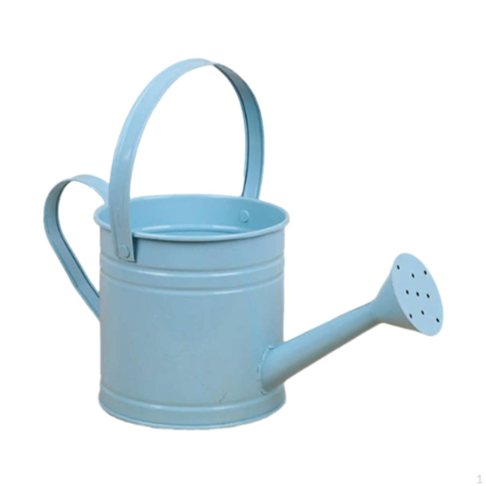 

Лейка с длинным носиком для садоводства синий