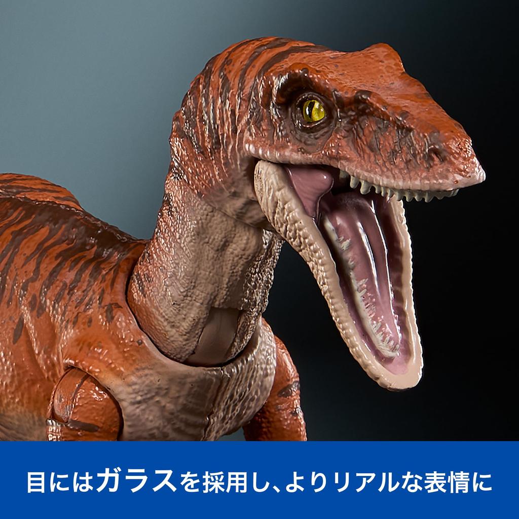 Mattel Jurassic World Hammond Collection Figurka Velociraptor Tiger pro Pohybujícího se Dinosaura Přibližně palců Věk 8 a JDJ09 Děti, Hračka, Velký, 7.5
