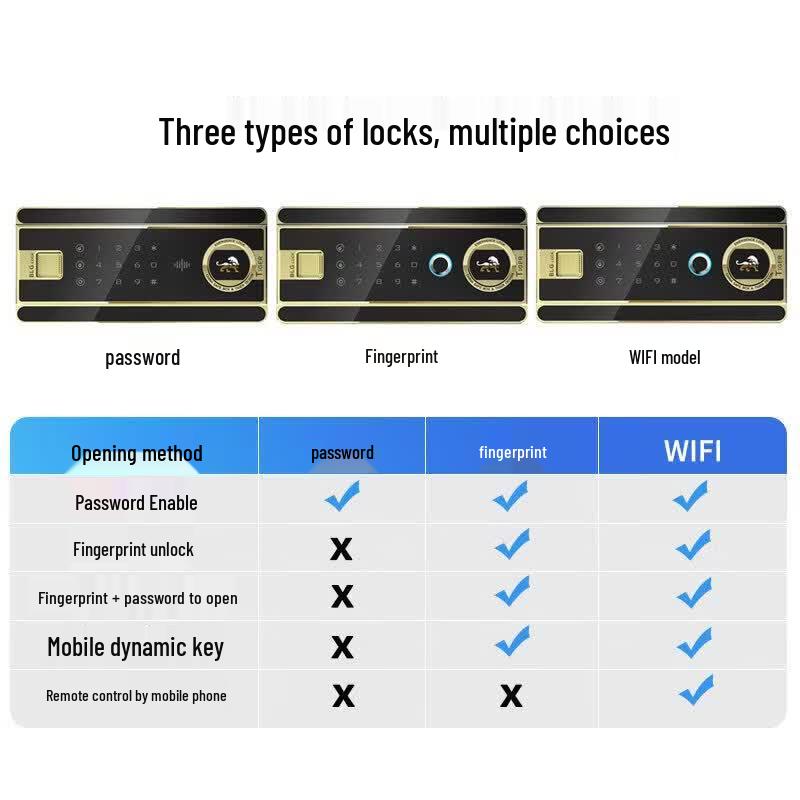 TIGER Borei Series Fingerprint WiFi Steel Safe