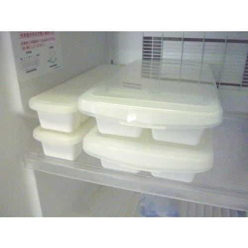 Asvel Large Ice Tray with Lid, Made in Japan, L-10