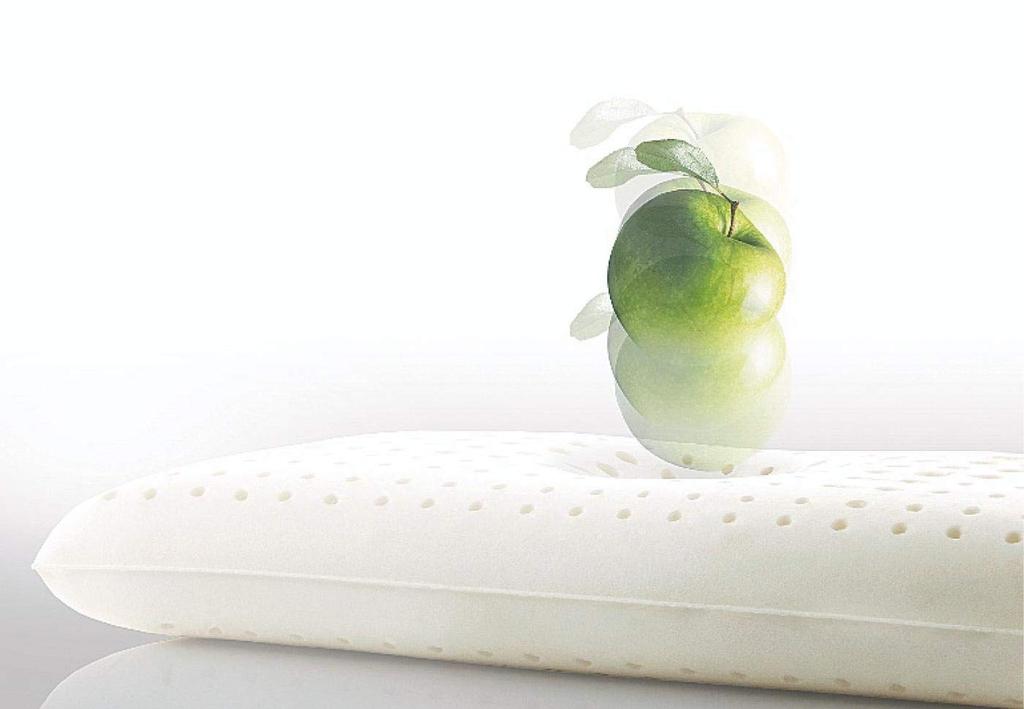 Sealy Pillow Ergonomic White Width 60cm Latex Pillow Cover Washable [Genuine]