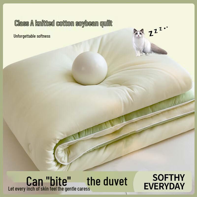 Nanjiren Antibacterial 10% Soybean Fiber Quilt