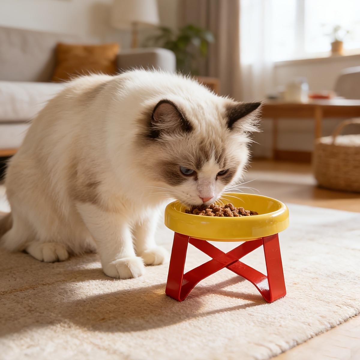 High Appearance 15 Degree Tilted Anti Vomiting Elevated Pet Feeding Bowl Cats Dogs Protects Neck Slip Wide Base Durable Plastic жёлтый