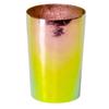 HORIE Titanium Double Wall Tumbler, 270ml, G19