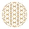 Prema Nature's Design Golden Aladdin Water Server 1.3L & Mythos Golden Glass Set of 2 ~ Golden Flower of Life ~ Transparent Large
