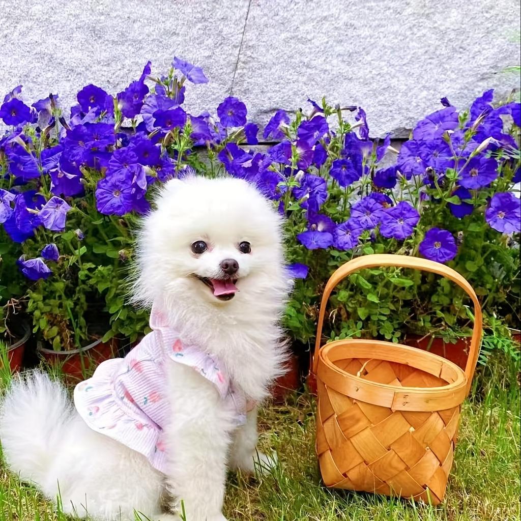 Pet Princess Wedding Dress for Small Dogs - Soft Pink Floral & Heart Design with Flying Sleeves, Lightweight Breathable Spring Summer Pet Outfit