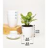 Combo of 4 Self Watering Flower Pots for Plants | Plastic Plant Pots | Planter Pots for Home, Indoor Living Room,Garden