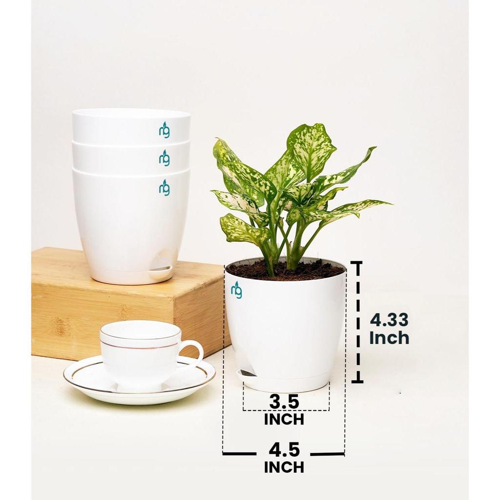 Combo of 4 Self Watering Flower Pots for Plants | Plastic Plant Pots | Planter Pots for Home, Indoor Living Room,Garden