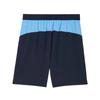 Puma Manchester City Drycell 25/26 Season Trendy Soft Skin-Friendly Casual Shorts Men Shorts Dark-Blue 780375-06