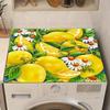 Lemon Fruits Coffee Mat Absorbent Dish Drying Mat for Kitchen Counter Rubber Backed Coffee Bar Fit Under Espresso Machine