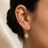 Stainless Steel Gold Rhinestone Earrings - European & American Light Luxury Design, High-End Titanium Steel Elegance.