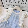 Summer Vacation Flounce Sleeve Dress for Girls - Fresh Mesh Skirt