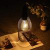 Modern Pendant Candle Holder Hanging Lamp Light Black Wine Bottle Iron Hanging Cage Vintage LED Cordless Lamp Lamp Shades