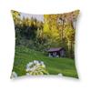 Blue Sky Grassland Square Cushion Cover Soft Pillow Case Bedroom Sofa Car Chair Home Decorative Pillowcases 45X45Cm