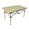 Seashore Outdoor Folding Camping Table & Chair Set