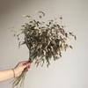 Wabi-sabi Dried Flower Arrangement: Reed, Pine Cones, Cotton, Wheat, Poppy Bouquet