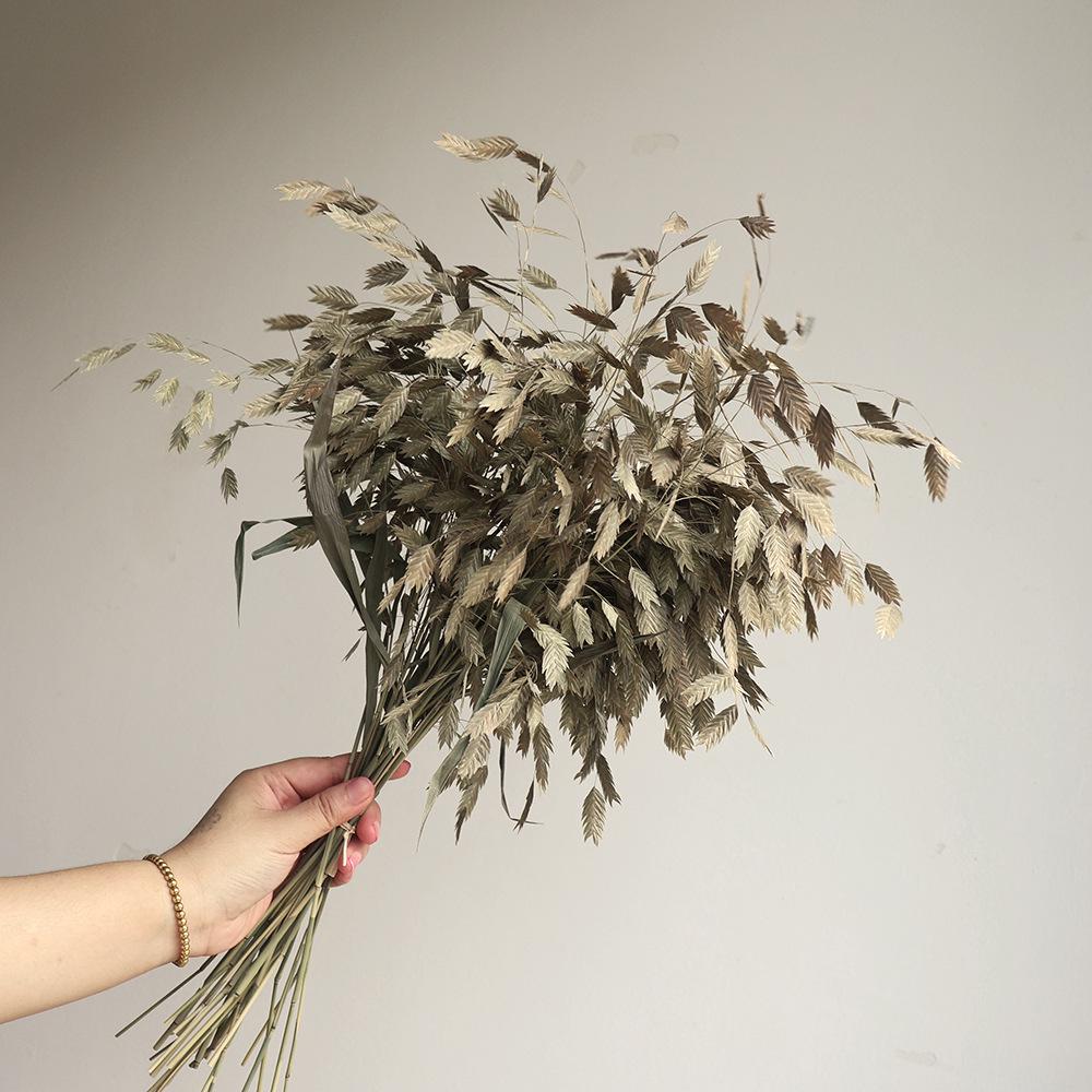 Wabi-sabi Dried Flower Arrangement: Reed, Pine Cones, Cotton, Wheat, Poppy Bouquet