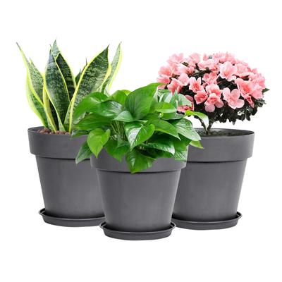 Runde Untertasse Blumentopf Pothos Harz Blumentopf Geeignet für den Innen- und Außenbereich