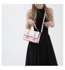 Chic Colorful 2024 Fashion Small Shoulder Bag Women's Texture Handbag Street Style