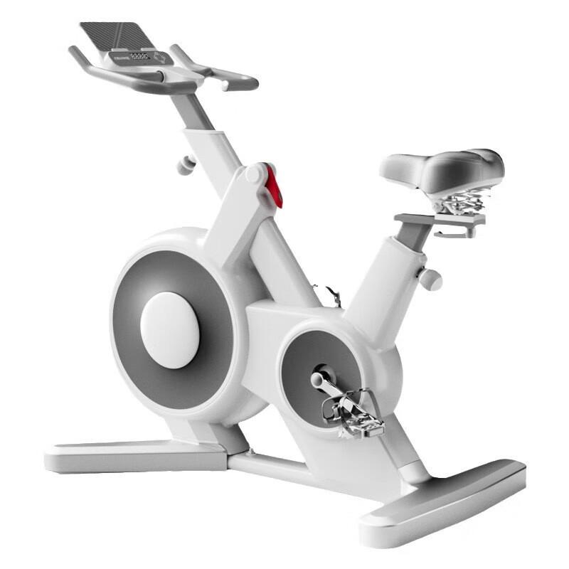 Yixing Sports Magnetic Exercise Bike QB-809