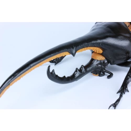 Free Research Series No.26 Living Creatures Edition Hercules Beetle Plastic Model