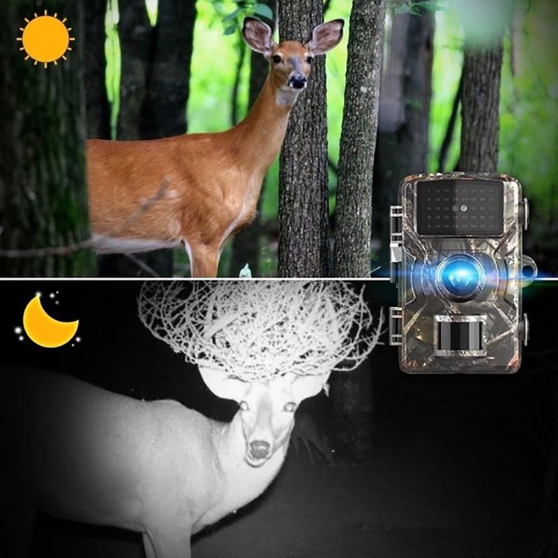 HD 1080P Hunting Trail Camera Wildlife Scouting Infrared Night Vision IP66 Waterproof HD Infrared Tracking Field Detection Camera Outdoor Camcorder