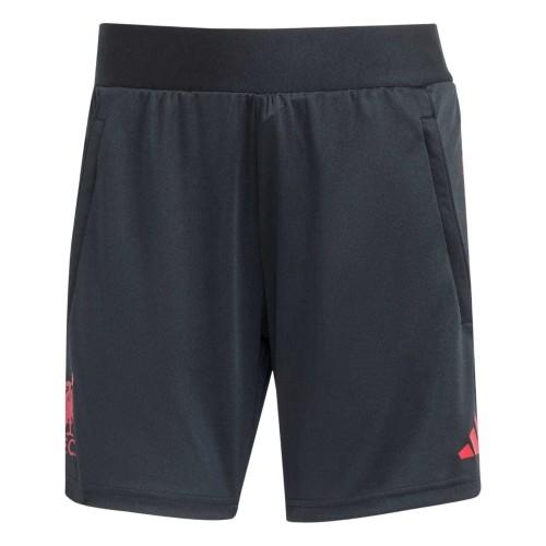 adidas Womens/Ladies 2025/2026 Liverpool FC Training Shorts