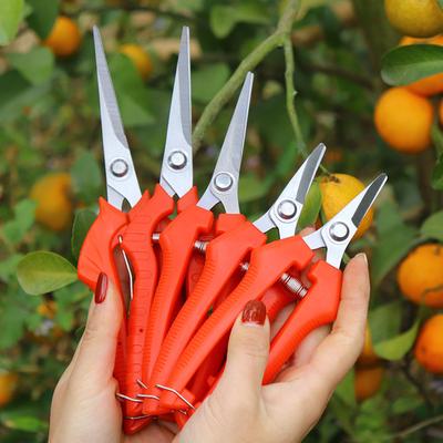 Pruning Scissors High Hardness Sharp Blade Stainless Steel Fruit Trees Branch Pruning Shears Home Supplies