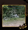 Spider Web Halloween Decorations 5M Giant Triangular With Spider